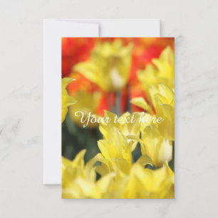 Brillo de verano floral otoño