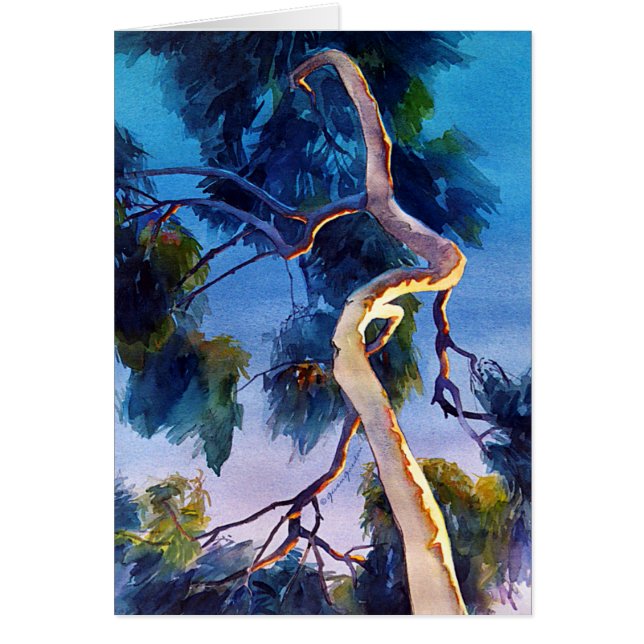 "Brillo en " (Frente)