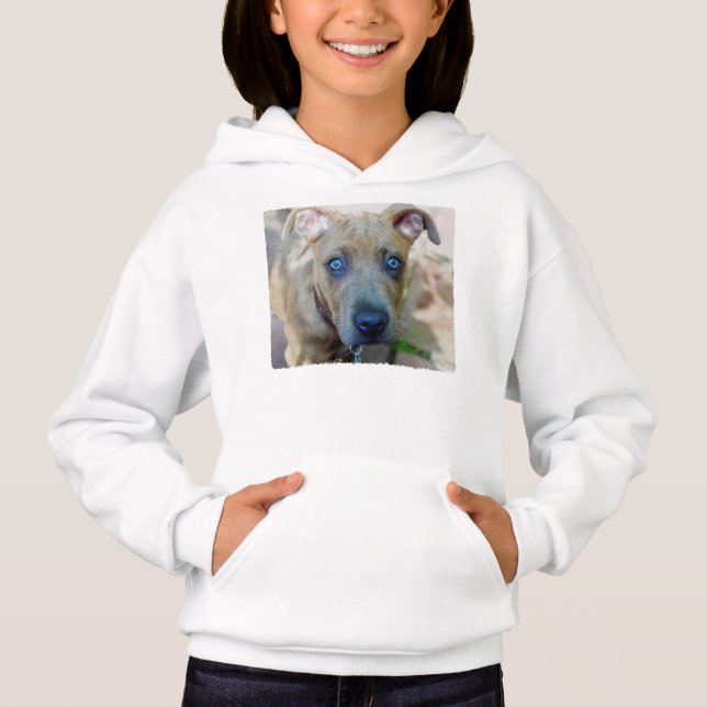 Brindle Pit Bull con una foto de Shirley Taylor (Anverso)