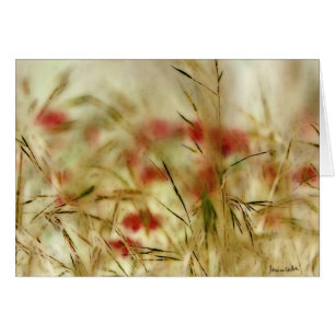 Brisa de la porcelana