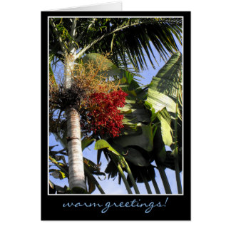 Brisa tropical