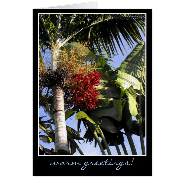 Brisa tropical (Frente)