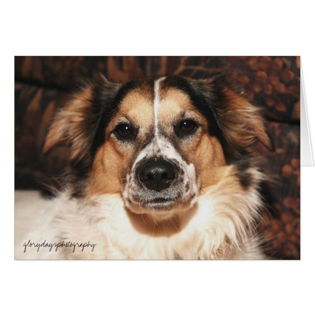 bristol, glorydaysphotografía (Anverso (Horizontal))