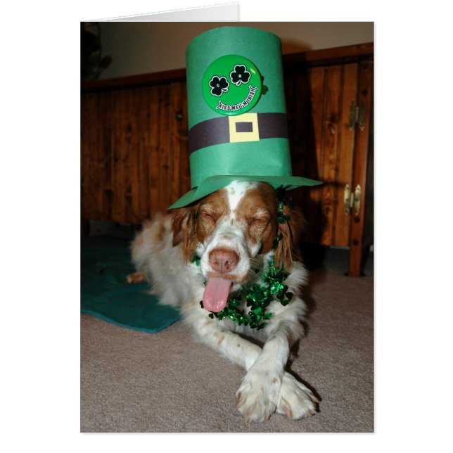 BRITNEY O'STOCK (Frente)