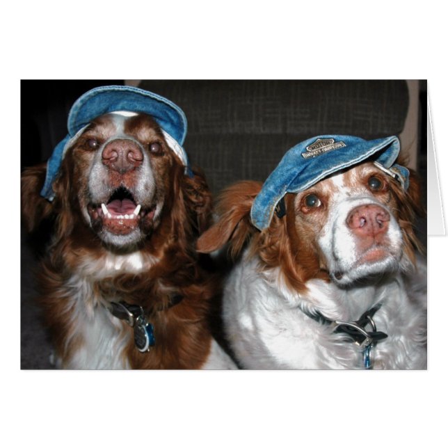 BRITS EN GORRAS (Anverso (Horizontal))