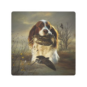 Brittany Francesa, Arte