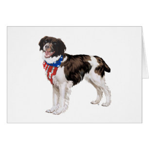 Brittany Patriótica