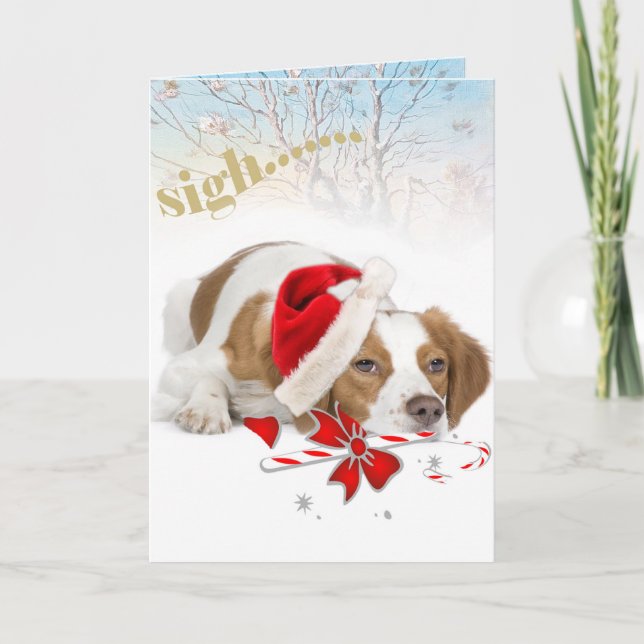 Brittany Santa se lleva tantas tarjetas (Anverso)