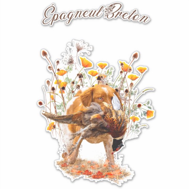 Brittany Spaniel, Pegatina faisán de caza (Anverso)