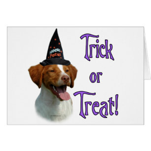 Brittany Spaniel Trick