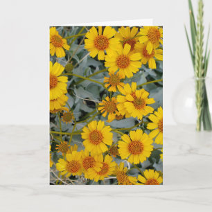 Brittlebush Flowers Tarjeta de felicitación_person