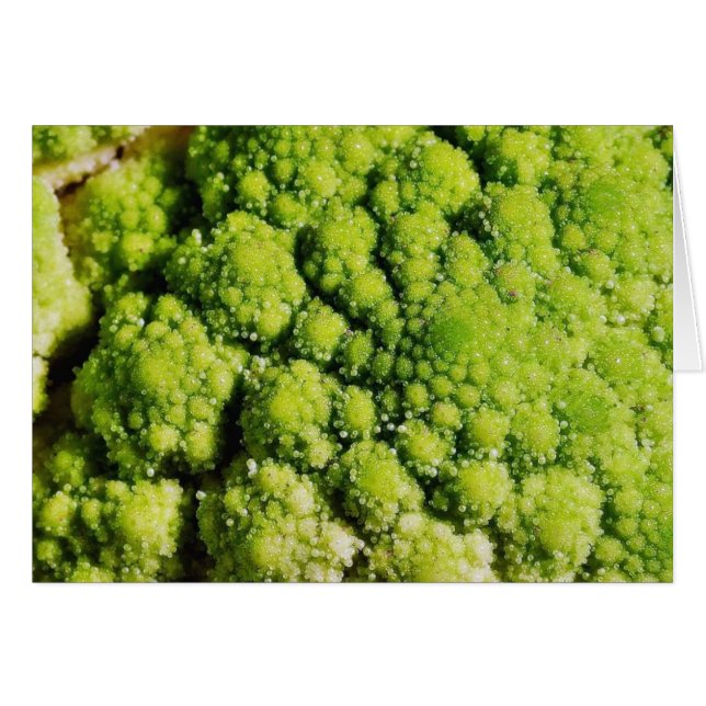 Brocco Flor Vegetable (Anverso (Horizontal))