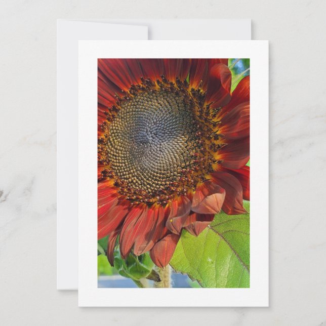 Bromas de girasol: Invitación Personalizado (Anverso)