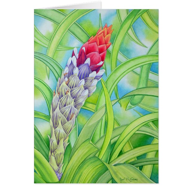 Bromeliad tropical (Frente)