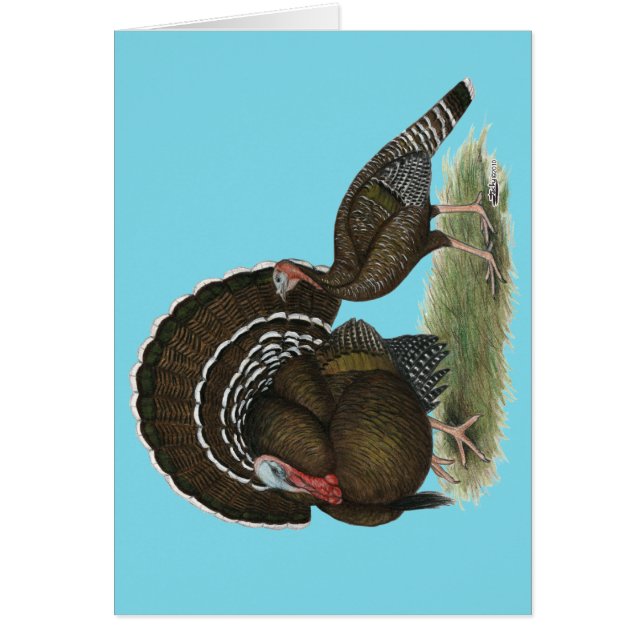 Bronce estándar de Turquía (Frente)