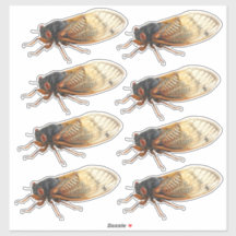 Brood X Pegatinas de Cicada Periódica: 8 por hoja