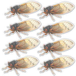 Brood X Pegatinas de Cicada Periódica: 8 por hoja