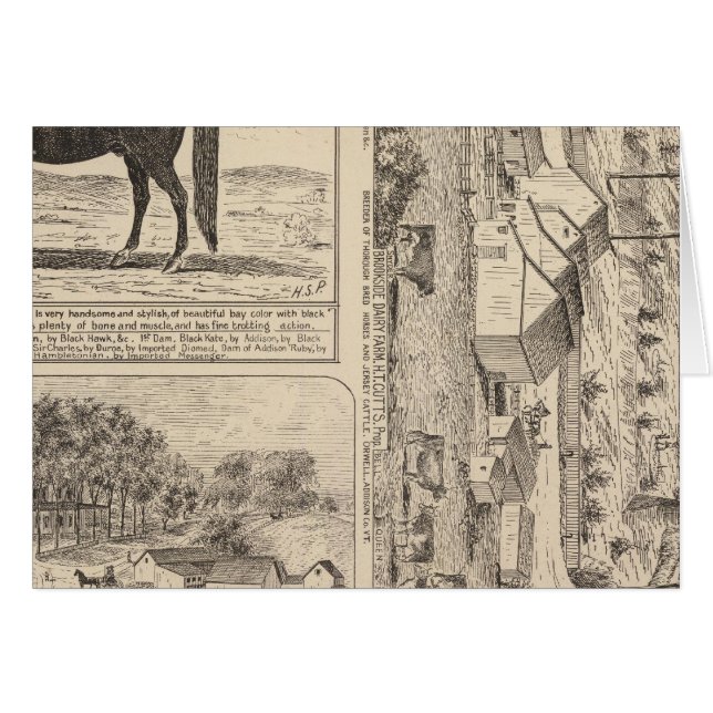 Brookside Dairy Farm (Anverso (Horizontal))