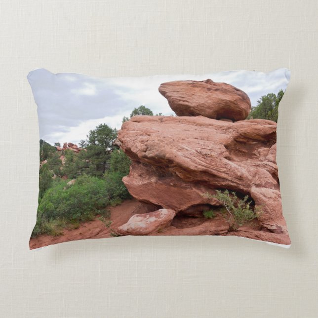 Brote de roca en la almohada de acento del jardín  (Anverso)