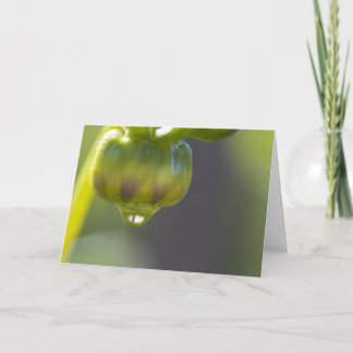 Brote y tarjeta de felicitación del descenso