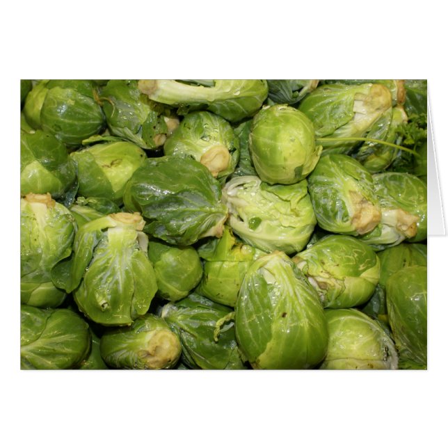 Brotes de pincel (Anverso (Horizontal))