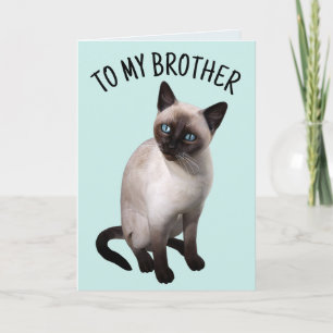 BROTHER SIAMESE CAT BIRTHDAY Tarjeta de felicitaci