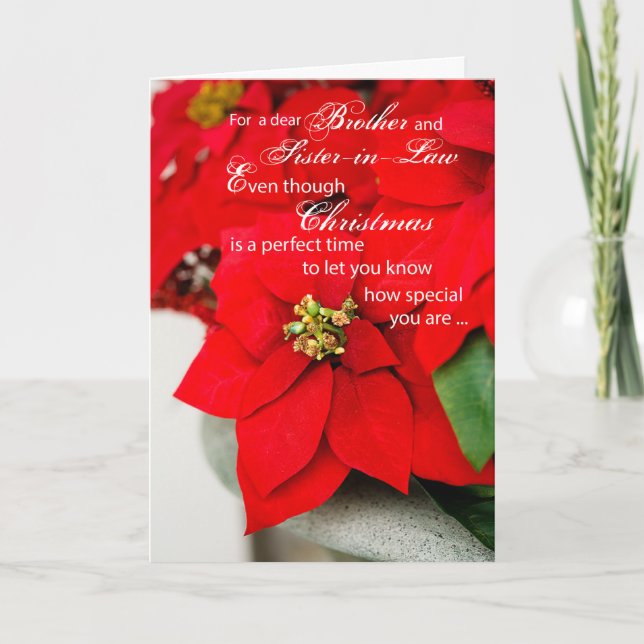 Brother y Poinsettia del rojo del navidad de la (Anverso)