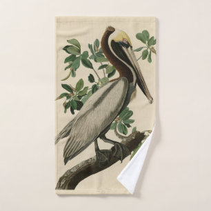 Brown Pelican de los pájaros de América de Audubon