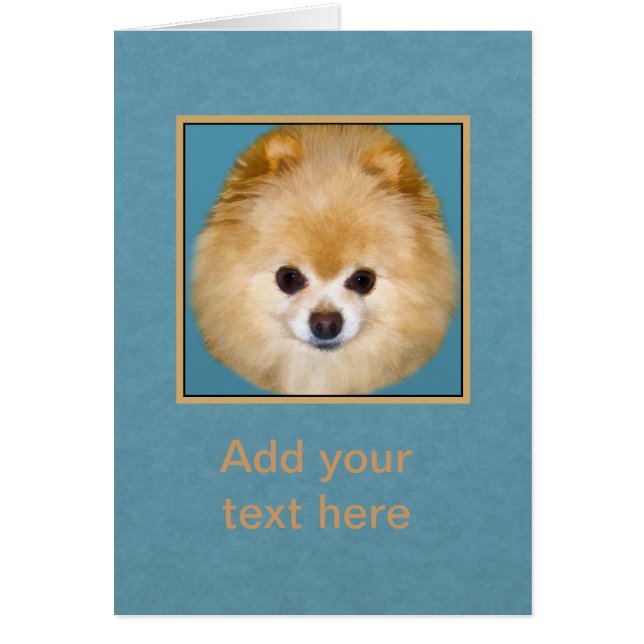 Brown y perro blanco de Pomeranian (Frente)