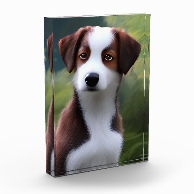 Bruce El Collie Fronterizo Puppy, Bloque De Fotogr (Izquierda)