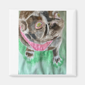 Bruno el imán del bulldog