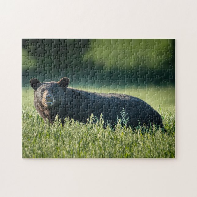 Bruno el rompecabezas del oso (Horizontal)