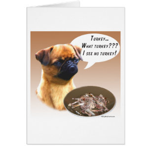 Bruselas Griffon Turkey