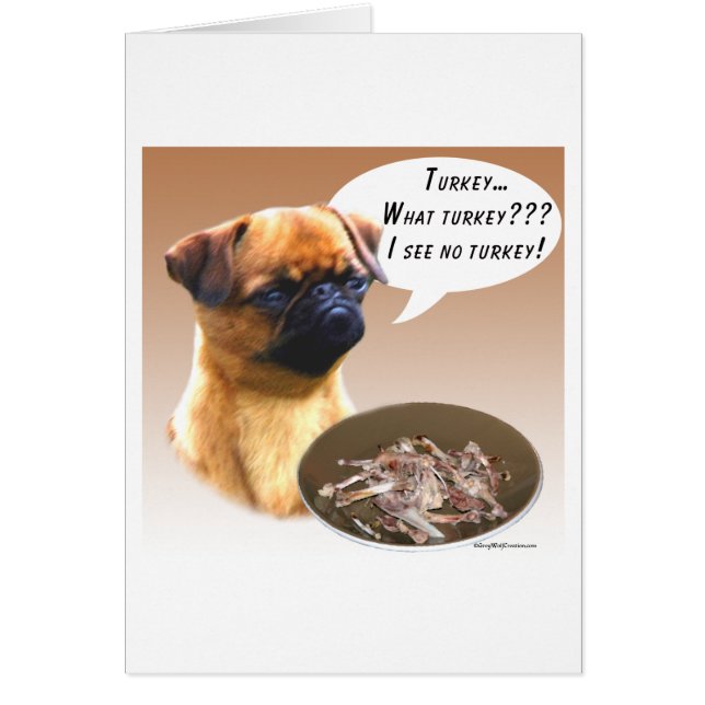 Bruselas Griffon Turkey (Frente)