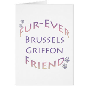 Brussels Griffon Furever