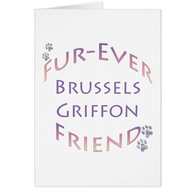 Brussels Griffon Furever (Frente)