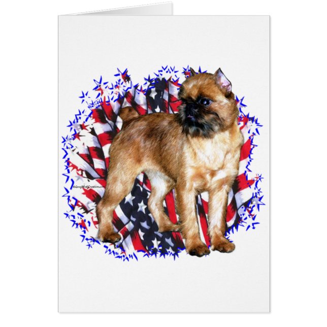 Brussels Griffon Patriot (Frente)