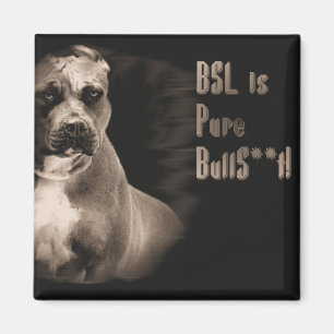 BSL es imán cuadrado puro de las BS