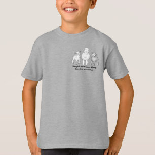 BSSBA obtuvo camiseta para jóvenes de oveja