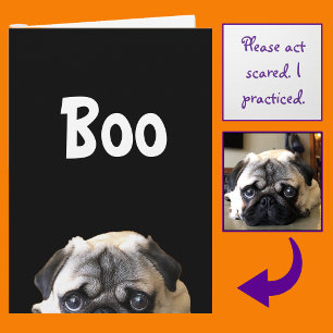 ¡Bu! Tarjeta de Halloween de Pug Fisgón