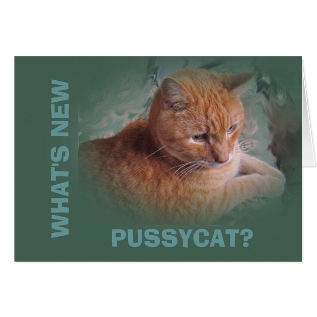 Bubba el Naranja Tabby Tomcat (Anverso (Horizontal))