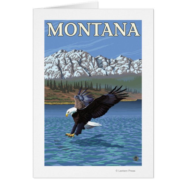 Buceo con águila calva - Montana (Frente)