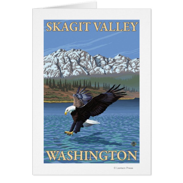 Buceo con águila calva - Skagit Valley, Washington (Frente)