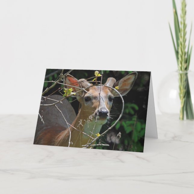 Buck botón 7 x 5 Tarjeta de felicitación plegada - (Anverso)