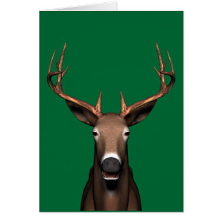Buck Head