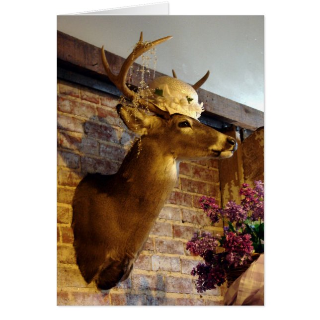 Buck in A Gorra (Frente)