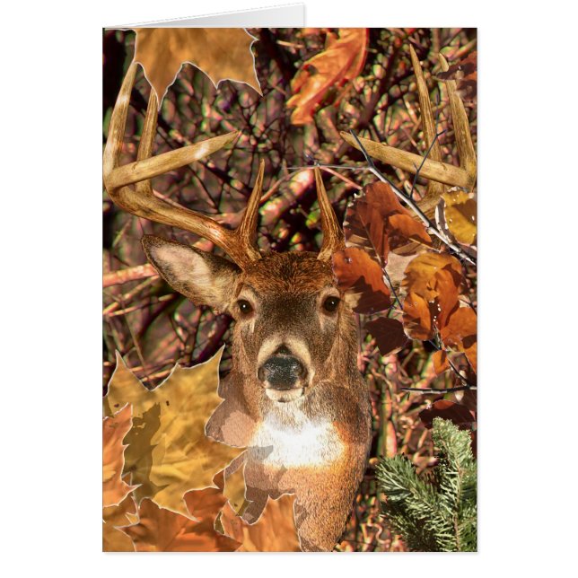 Buck in Camo White Tail Deer (Frente)