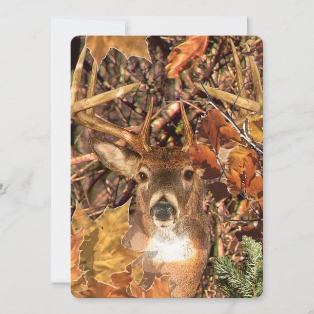 Buck in Camo White Tail Deer (Anverso)