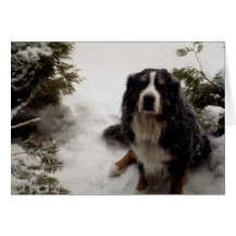 Buckminster ama la nieve