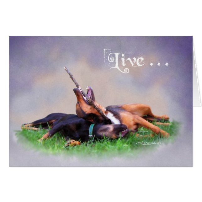 Bud & Gabby (Anverso (Horizontal))